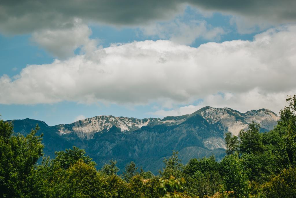 Pocitniska Hiska Pod Skalco Villa Kamnik Luaran gambar